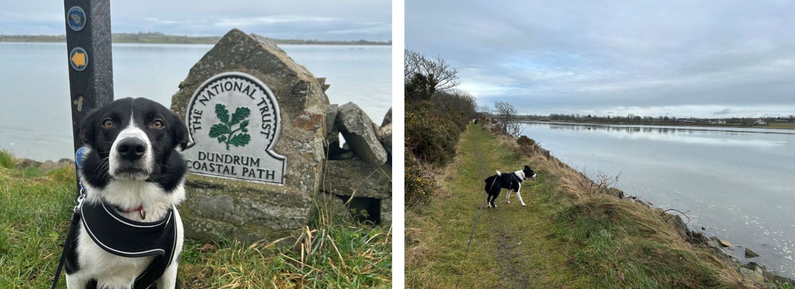 Dundrum Coastal Path 